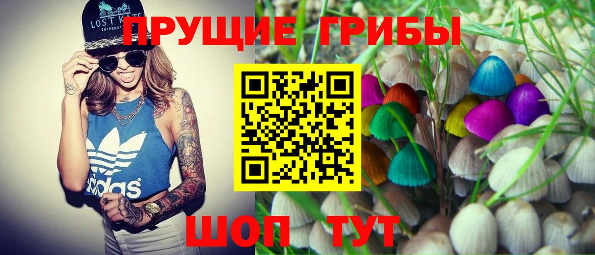 Галлюциногенные грибы Cubensis Нефтекумск
