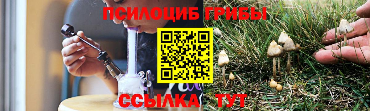 Галлюциногенные грибы мицелий  Псилоцибиновые грибы Psilocybe  Нефтекумск  Вход с VPN 